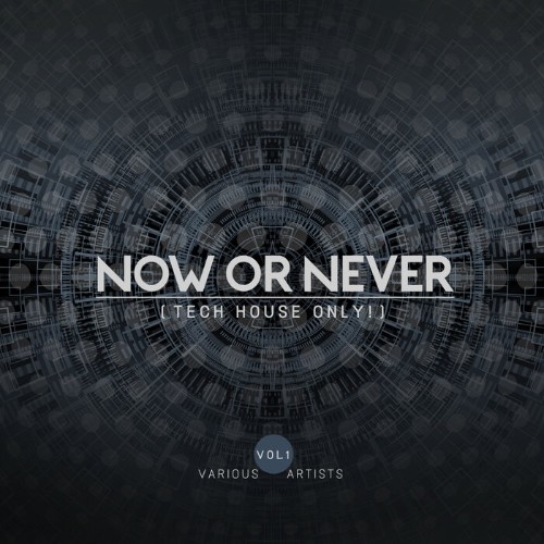 VA | Now Or Never, Vol. 1 (Tech House Only!) (2022) MP3