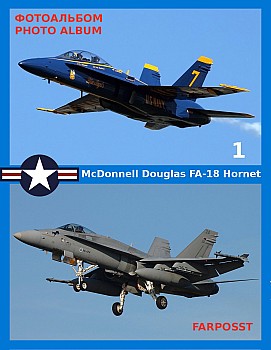 McDonnell Douglas FA-18 Hornet (1 )