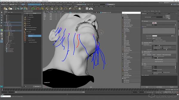 Introduction to Grooming with Ornatrix in Maya with Santhosh Koneru