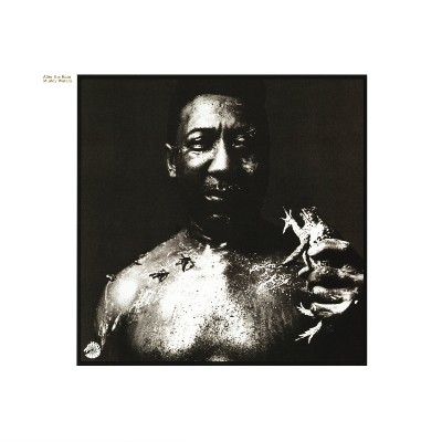 Muddy Waters - After The Rain