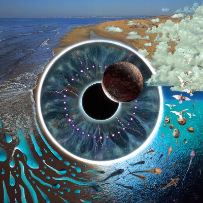 Pink Floyd - Pulse (Live)