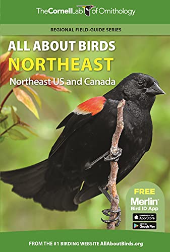 All About Birds Northeast US and Canada