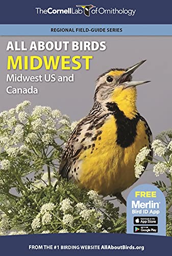 All About Birds Midwest Midwest US and Canada