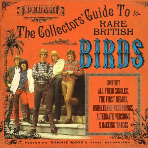 The Birds - The Collectors' Guide To Rare British Birds (1999) Lossless