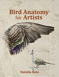 Bird Anatomy for Artists -Comprehensive Guide to Drawing Birds for Artists and Bird Lovers