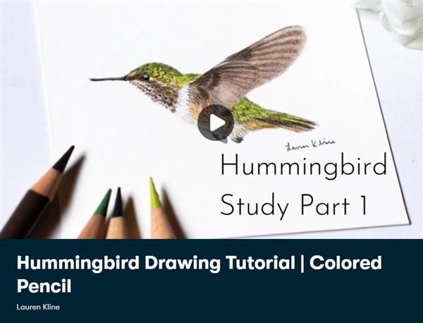 Hummingbird Drawing Tutorial | Colored Pencil