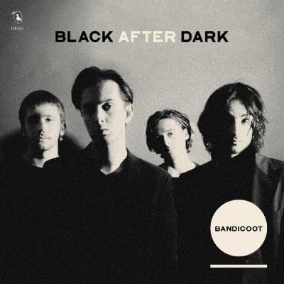 VA - Bandicoot - Black After Dark (2022) (MP3)