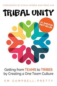 Tribal Unity Getting from Teams to Tribes by Creating a One Team Culture