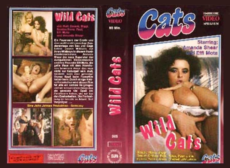 Wild Cats In Action - 480p