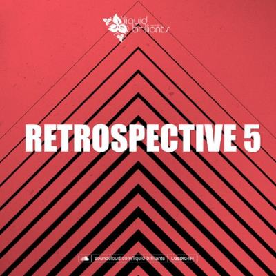 VA - Retrospective 5 (2022) (MP3)