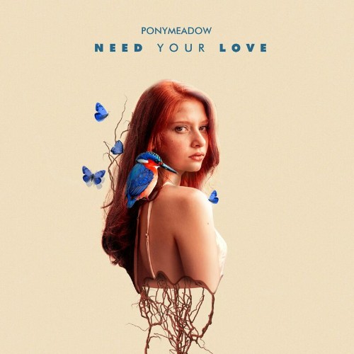 VA - Ponymeadow - Need Your Love (2022) (MP3)