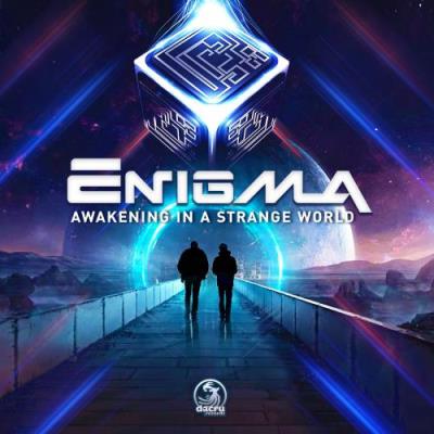VA - Enigma - Awakening In A Strange World (2022) (MP3)