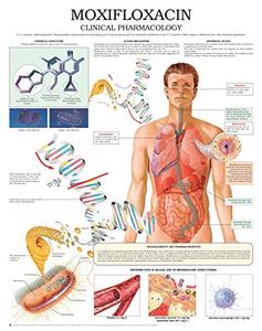 Moxifloxacin e chart Full illustrated