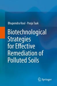 Biotechnological Strategies for Effective Remediation of Polluted Soils