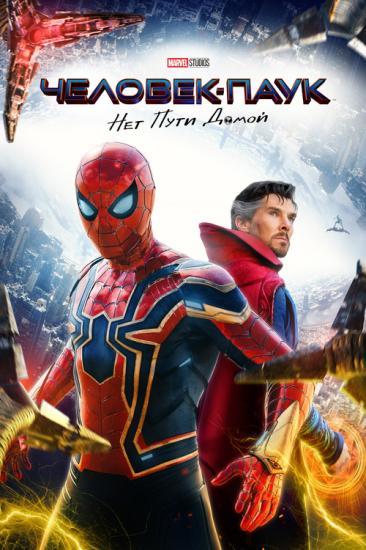-:    / Spider-Man: No Way Home (2021) BDRip-AVC  New-Team | D, P