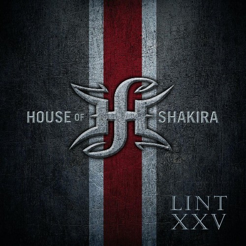 VA - House of Shakira - Lint XXV (2022) (MP3)