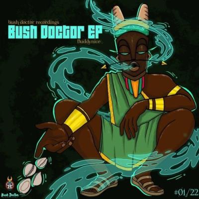 VA - Buddynice - Bush Doctor Ep (2022) (MP3)