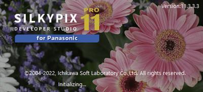 SILKYPIX Developer Studio Pro for Panasonic 11.3.3.3 (x64)