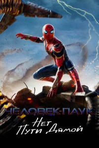 Человек-паук: Нет пути домой / Spider-Man: No Way Home ( 2021 ) (4K, HEVC, HDR, Blu-Ray Remux ) [2160p]