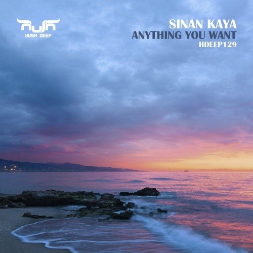 VA - Sinan Kaya - Anything You Want (2022) (MP3)
