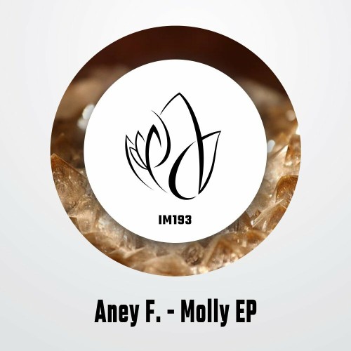 VA - Aney F. - Molly EP (2022) (MP3)