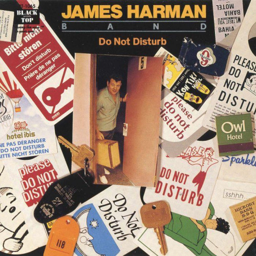 James Harman Band - Do Not Disturb (1991) [lossless]