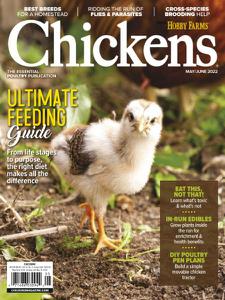 Chickens – May-June 2022