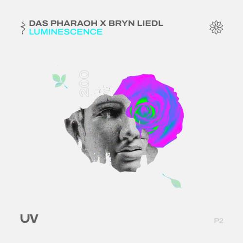 VA - Das Pharaoh x Bryn Liedl - Luminescence (2022) (MP3)