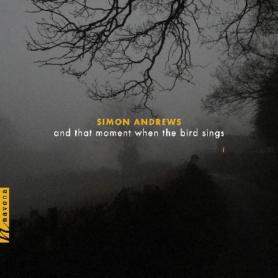 Simon Andrews - Simon Andrews  And That Moment When the Bird Sings