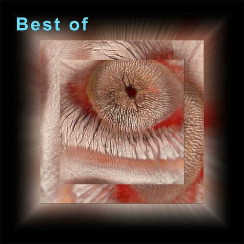 VA - Brickman - Best Of Brickman (2022) (MP3)