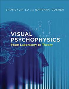 Visual Psychophysics From Laboratory to Theory