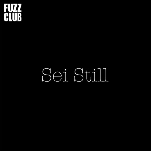 VA - Sei Still - Fuzz Club Sessions No 18 (2022) (MP3)