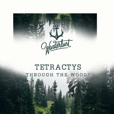 VA - Tetractys - Through The Woods (2022) (MP3)