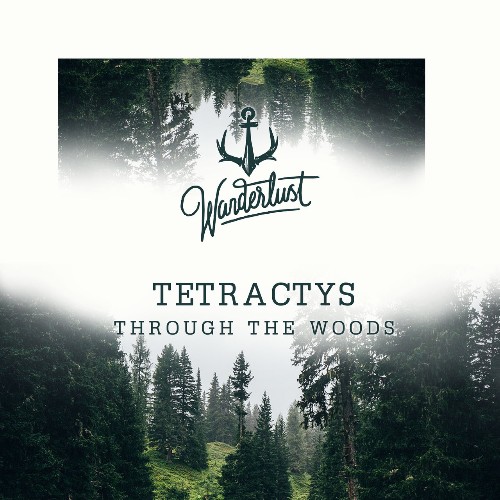 VA | Tetractys - Through The Woods (2022) MP3