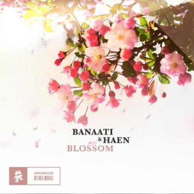 VA - Banaati & Haen - Blossom (2022) (MP3)