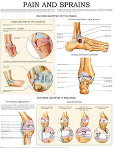 Pain and sprains e-chart Quick reference guide