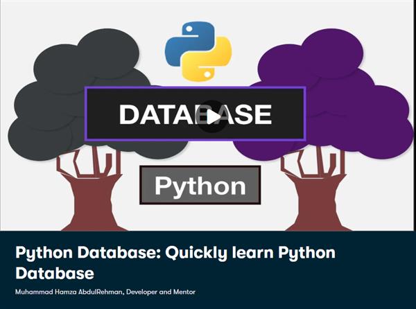 Python Database - Quickly learn Python Database