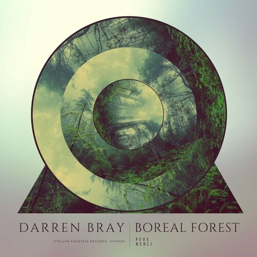 VA - Darren Bray - Boreal Forest (2022) (MP3)