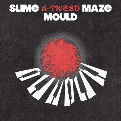 VA - A-Tweed - Slime Mould Maze EP (2022) (MP3)