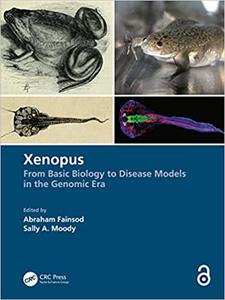 Xenopus From Basic Biology to Disease Models in the Genomic Era