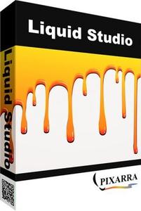 Pixarra TwistedBrush Liquid Studio 4.10 Portable