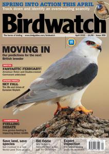 Birdwatch UK - Issue 358 - April 2022