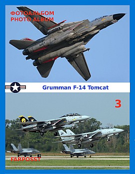 Grumman F-14 Tomcat (3 )