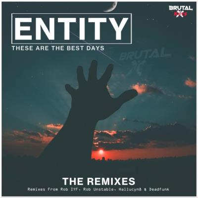 VA - Entity - These Are The Best Days (The Remixes) (2022) (MP3)