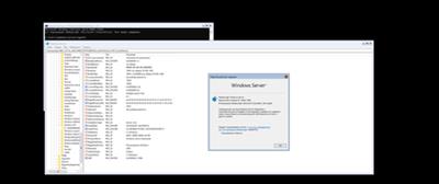 Windows Server, Version 20H2 Build 19042.1586 (x64)