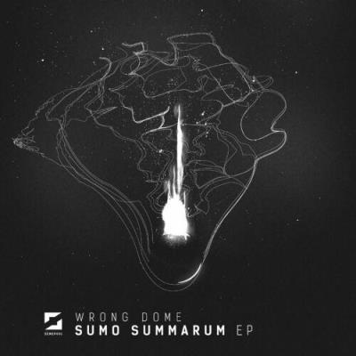 VA - Wrong Dome - Sumo Summarum EP (2022) (MP3)