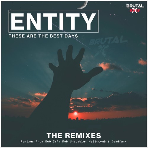 VA - Entity - These Are The Best Days (The Remixes) (2022) (MP3)