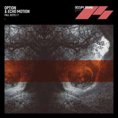 VA - Option & Echo Motion - Fall Keys EP (2022) (MP3)