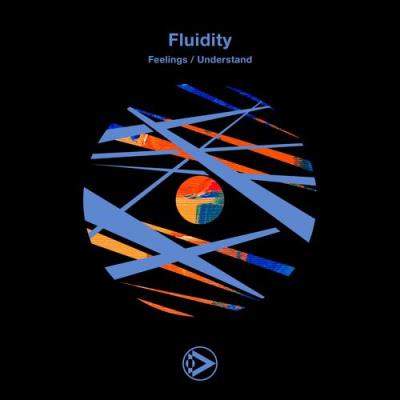 VA - Fluidity - Feelings / Understand (2022) (MP3)