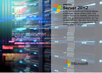 Windows Server, Version 20H2 Build 19042.1586 (x64)